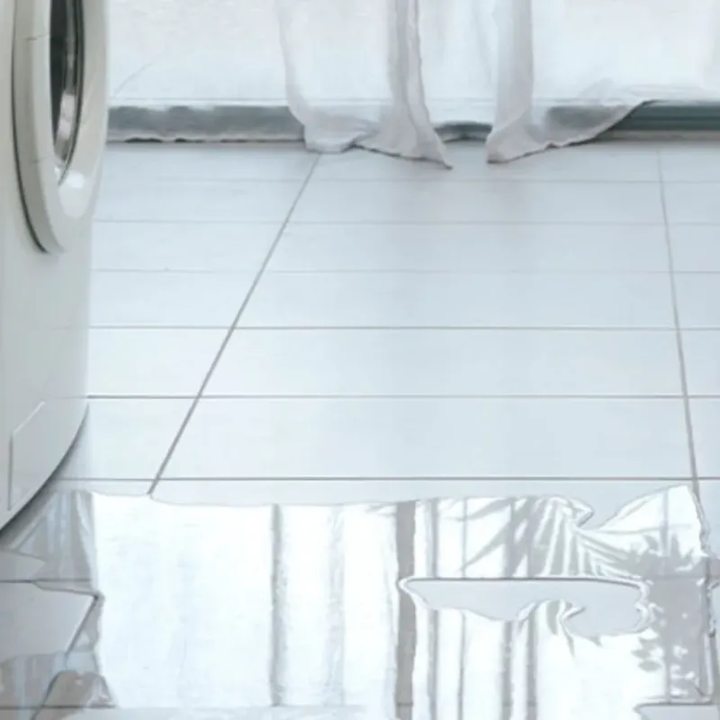 Appliance Leak Cleanup in Lopezville, TX